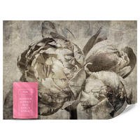 FOTOTAPETE Pfingstrosen Blumen Beton Vintage 250x175 - Beige/Braun, Papier (250/175cm) - Muralo