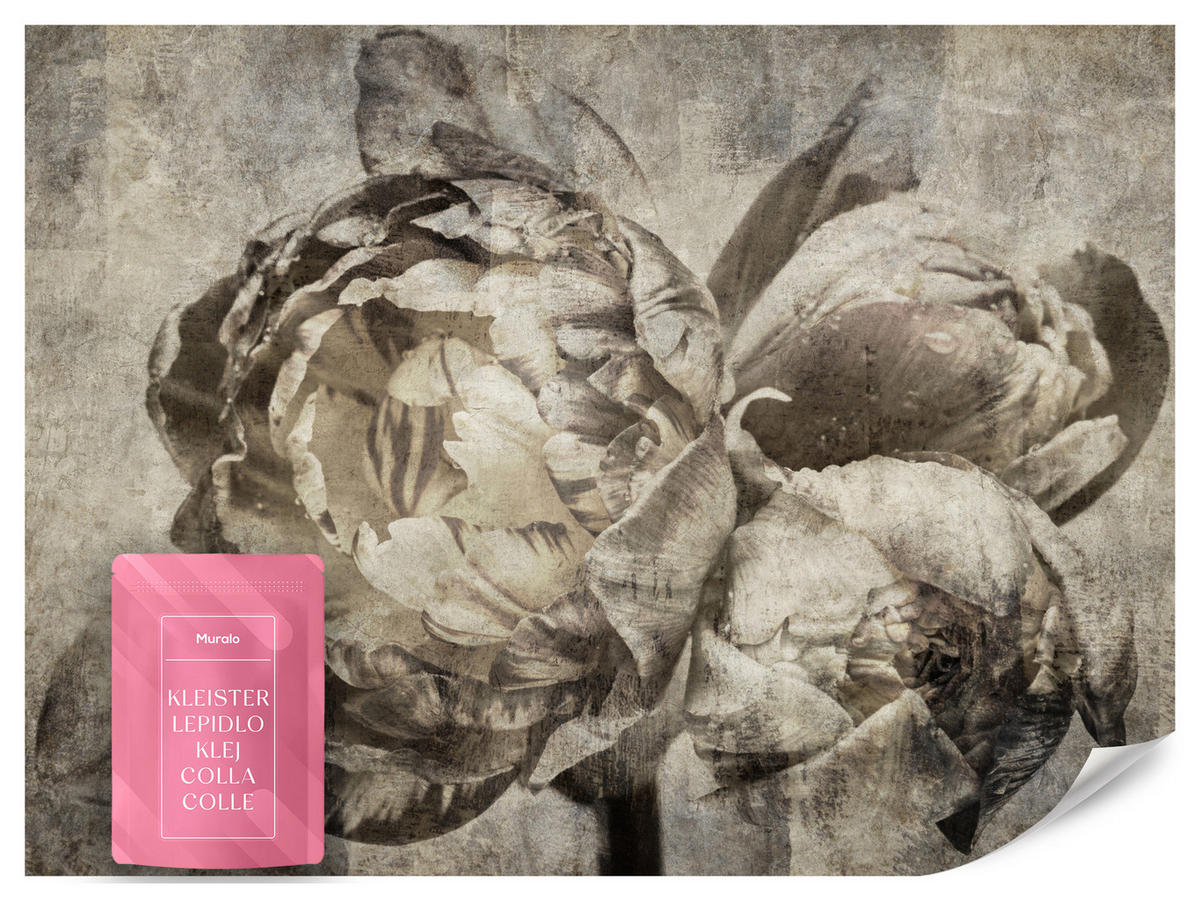 FOTOTAPETE Pfingstrosen Blumen Beton Vintage 250x175 - Beige/Braun, Papier (250/175cm) - Muralo