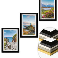 WANDBILDER 3er-Set - 20x30 cm Schwarzer Rahmen - Strand, Leuchtturm, Berge, Blumen - Schwarz, Kunststoff (20/30cm) - ArtPrintCave
