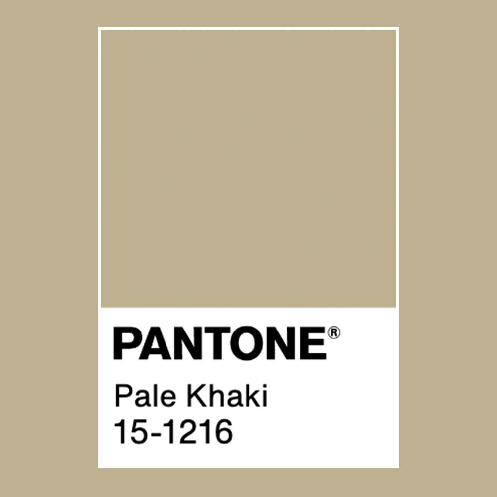 Barva Pale Khaki