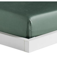 SPANNBETTTUCH - Hellgrün, Textil (160/200cm) - home&you
