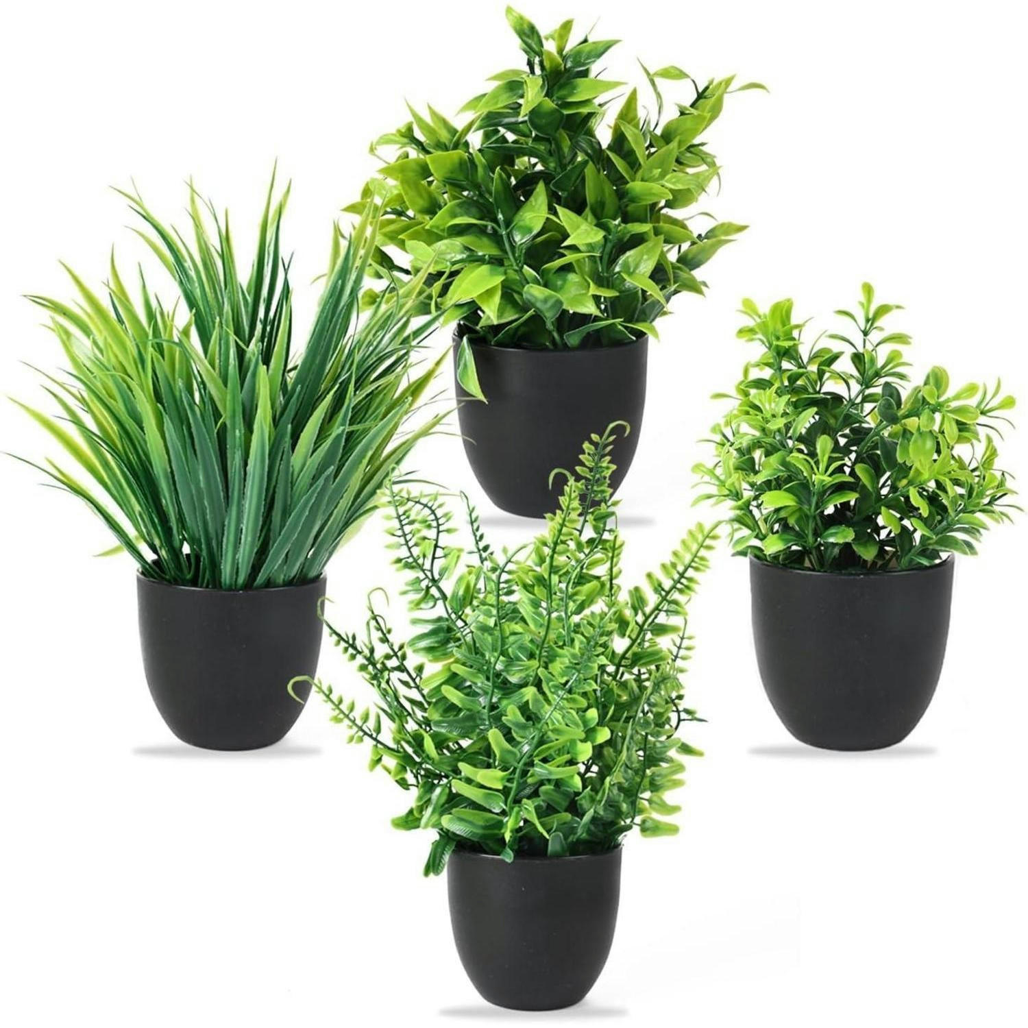 KUNSTPFLANZEN 4-teiliges Set mit Topf 23 cm - Grün, Kunststoff (8cm)