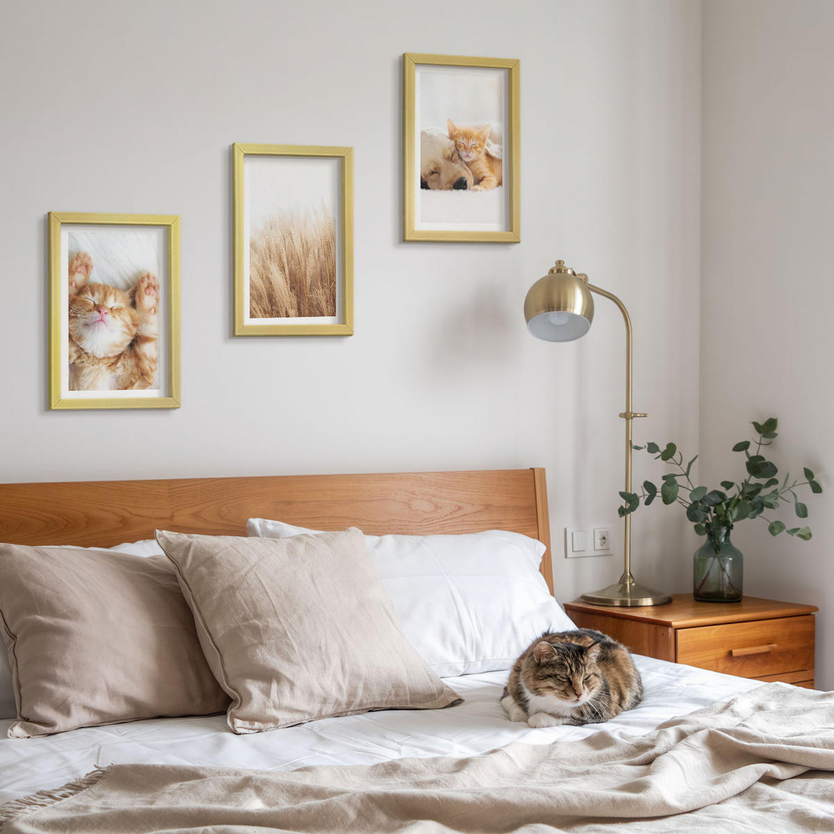 BILDER SET 3er Set - 20x30 cm Goldrahmen - Niedliche Tiere, Katzen, Hunde, Boho-Stil - Goldfarben, Kunststoff (20/30cm) - TULUP