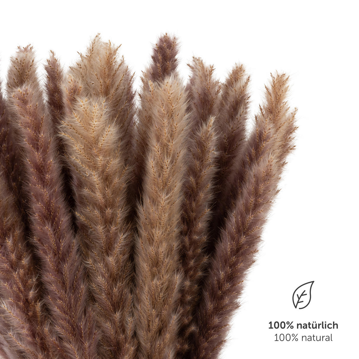 TROCKENBLUMEN - 30 Stück, 60 cm, für Trockenblumenstrauß oder Trockenblumen Deko, naturbraun - Braun, Naturmaterialien (60cm) - Blumtal