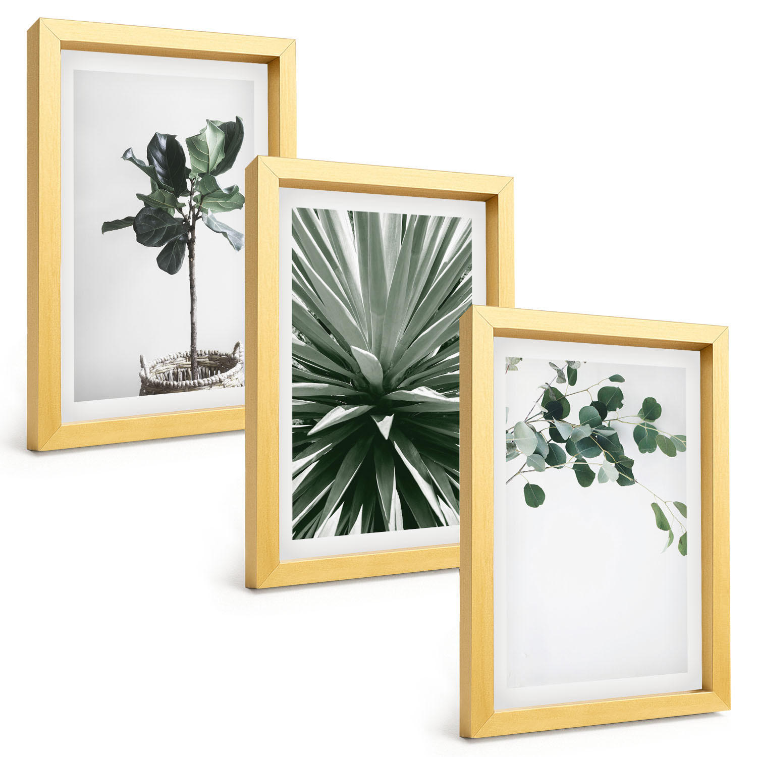 BILDER SET 3er Set - 20x30 cm Goldrahmen - Minimalismus mit grünen Pflanzen - Goldfarben, Kunststoff (20/30cm) - TULUP