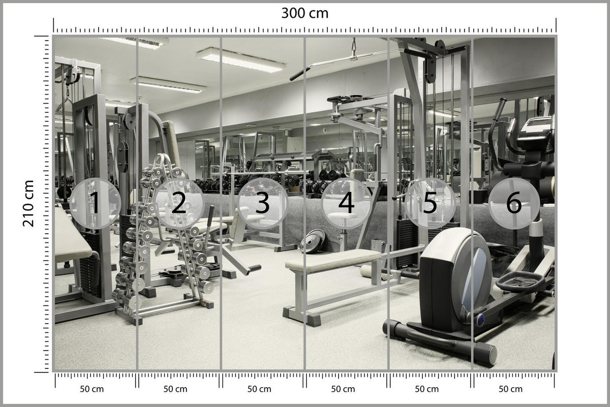 FOTOTAPETE Fitnessstudio Innenraum Equipment Modern Sport 300x210 - Ecru/Creme, Papier (300/210cm) - Muralo