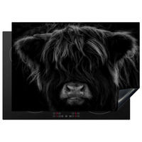 HERDABDECKPLATTE Schottischer Highlander - Kuh - Schwarz - Weiß - Tiere Herdabdeckung Induktionsfeld 75x52 cm - Schwarz, Kunststoff (75/52/0.2cm) - MuchoWow