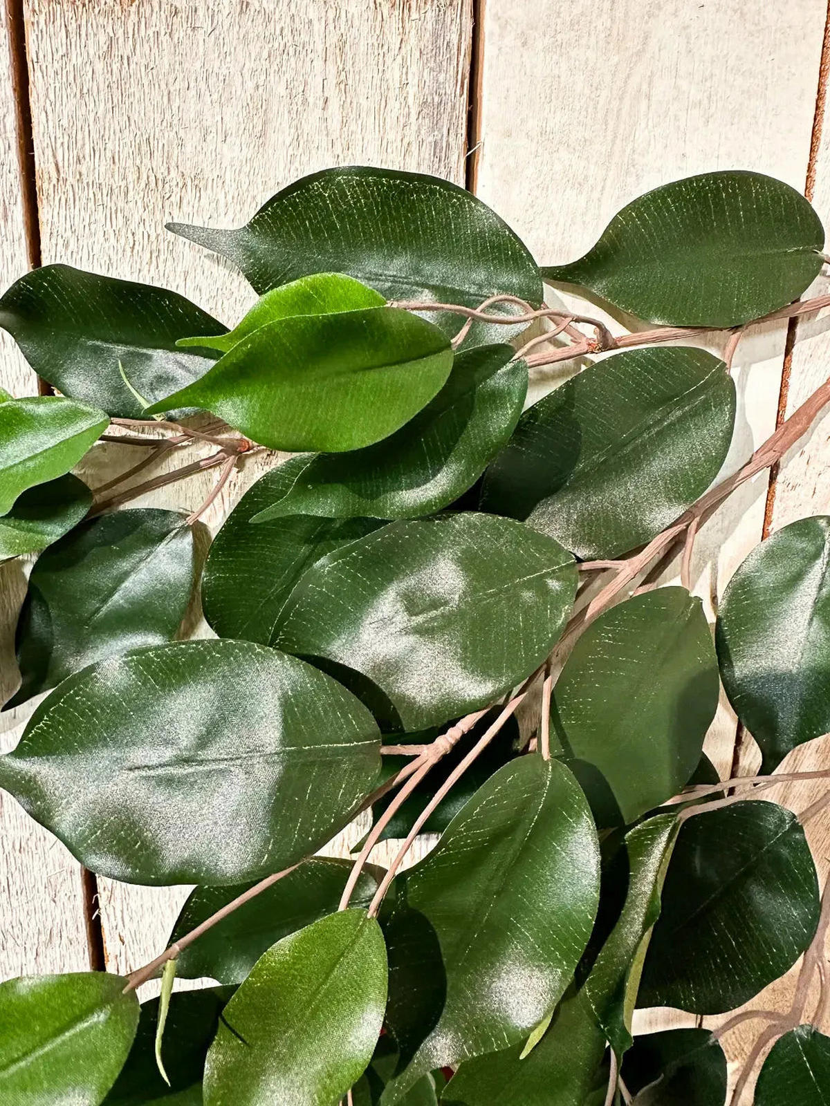 FEIGEN Künstlicher Ficus-Zweig - Georgia - Grün, Kunststoff (1cm) - aplanta