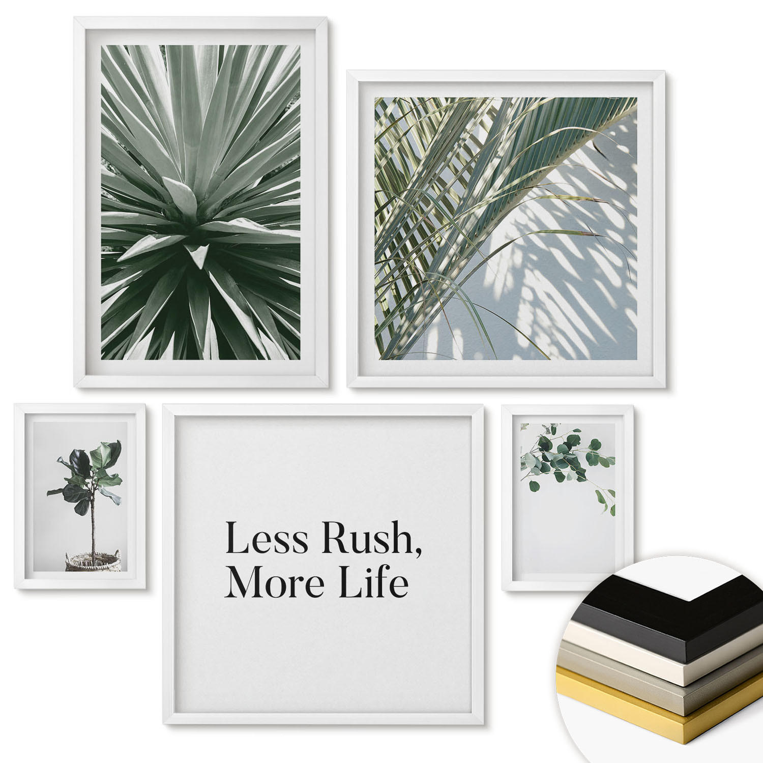 WANDBILDER 5er-Set - 50x50 cm & 20x30 cm & 40x60 cm Weißer Rahmen - Minimalismus mit grünen Pflanzen - Weiß, Kunststoff (40/60cm) - ArtPrintCave
