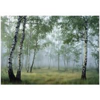 VLIESTAPETE Wald Birken 3D Effekt Natur Schlafzimmer 400x280 - Multicolor, Papier (400/280cm) - Wallarena