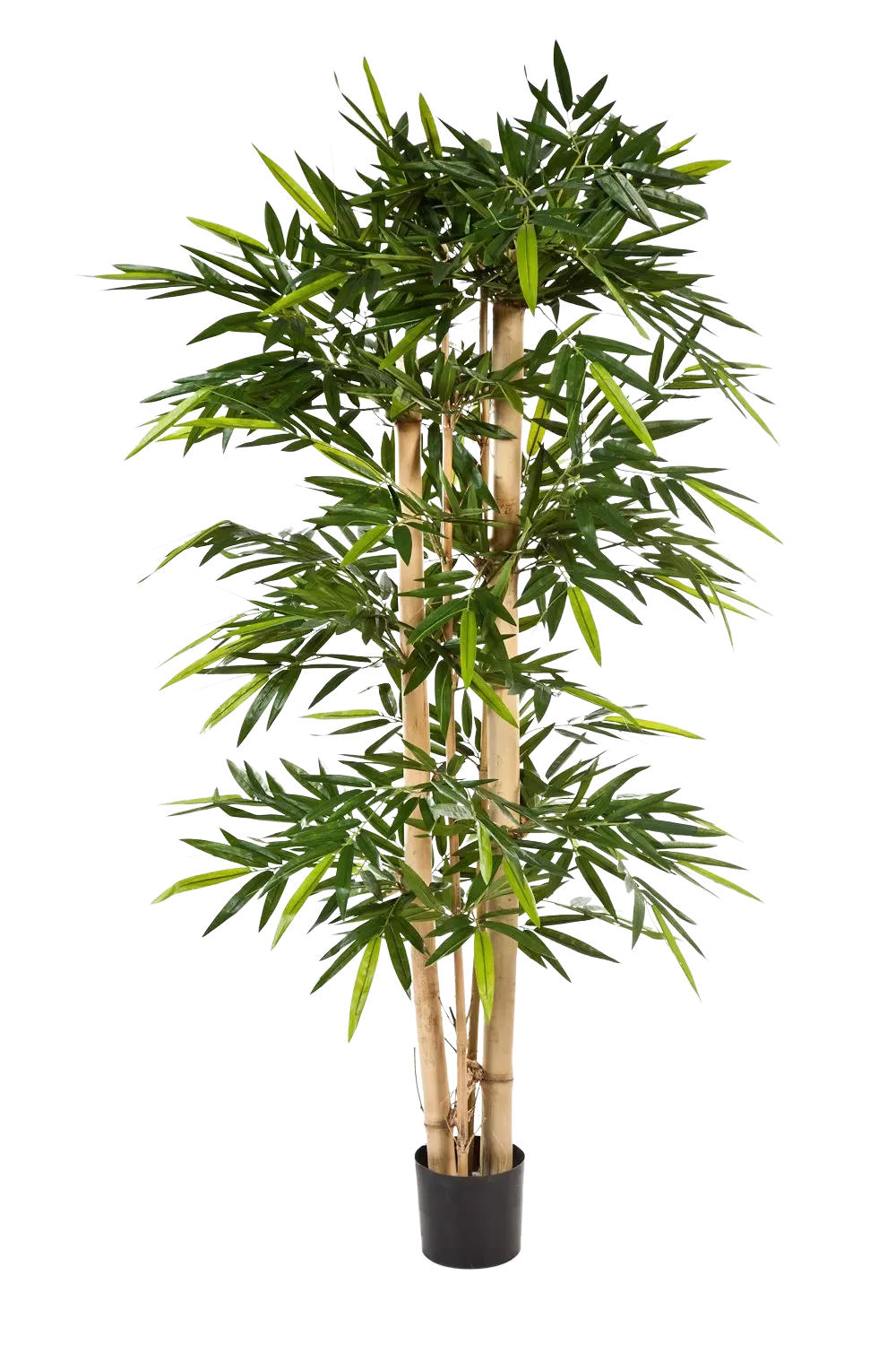KUNSTBAUM Künstlicher Bambus - Martha 240 cm - Grün, Kunststoff (240cm) - aplanta