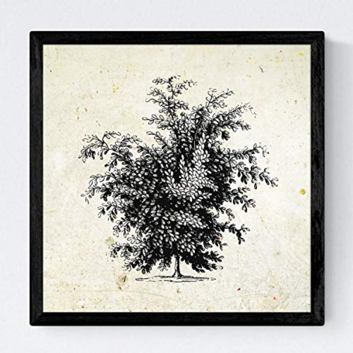 POSTER Set mit 4 Blättern der Bäume und Sträucher Jahrgang Hintergrund 20x20cm Rahmenlos - Klar, Papier (20/3cm) - Nacnic