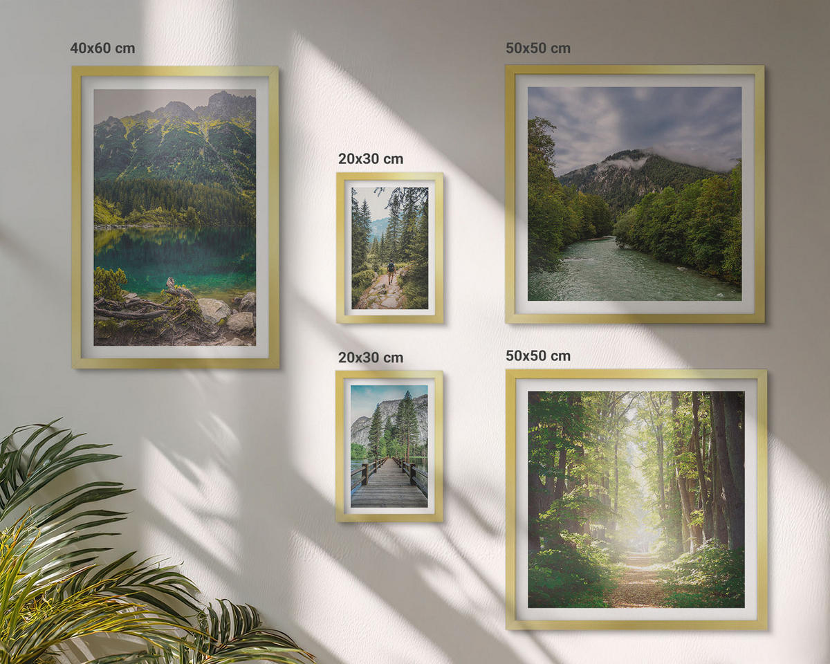 WANDBILDER 5er Set - 50x50 cm & 20x30 cm & 40x60 cm Goldrahmen - Straße Wald Berge Hirsch Natur - Goldfarben, Kunststoff (40/60cm) - ArtPrintCave