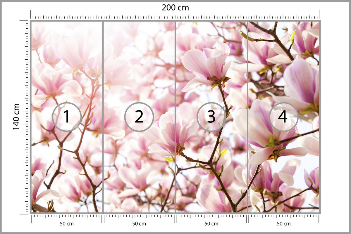 FOTOTAPETE für Schlafzimmer Rosa Magnolienblüten Floral Delikat 200x140 - Violett/Rosa, Papier (200/140cm) - Muralo