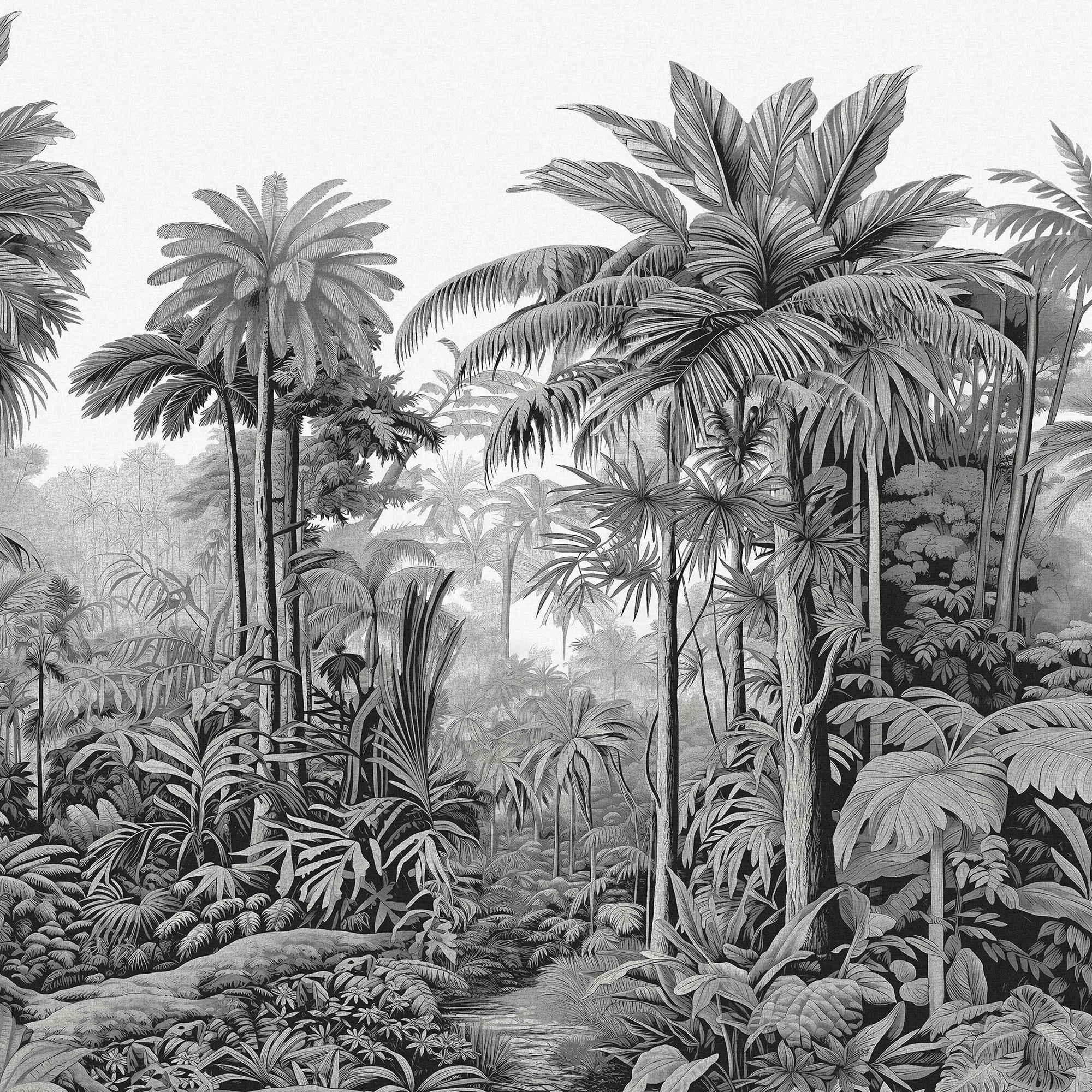 FOTOTAPETE Benmore Ridge - Grau, Papier/Kunststoff (250/400cm) - Graham & Brown