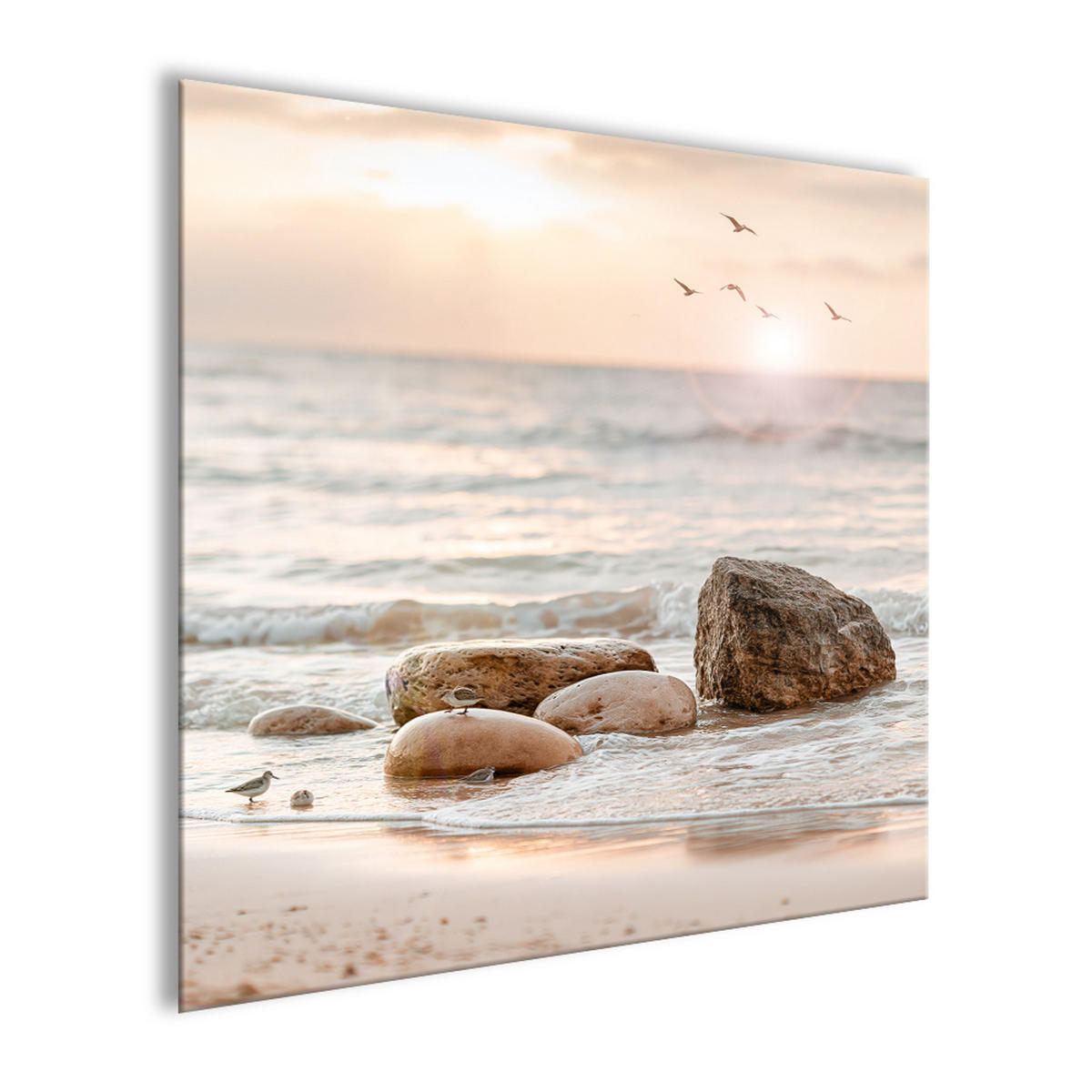 GLASBILD 50x50 cm Strand & Meer beige-weiß - Beige, Glas (50/50cm) - artissimo