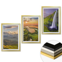 WANDBILDER 3er Set - 40x60 cm Goldrahmen - Gebirgsflüsse, Wasserfälle, Natur - Goldfarben, Kunststoff (40/60cm) - ArtPrintCave