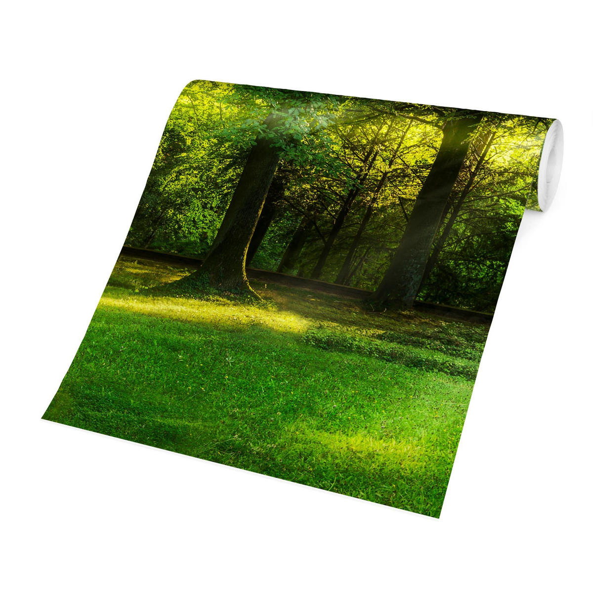 FOTOTAPETE Spaziergang im Wald 432/290 cm - Grün, Papier (432/290cm) - Bilderwelten