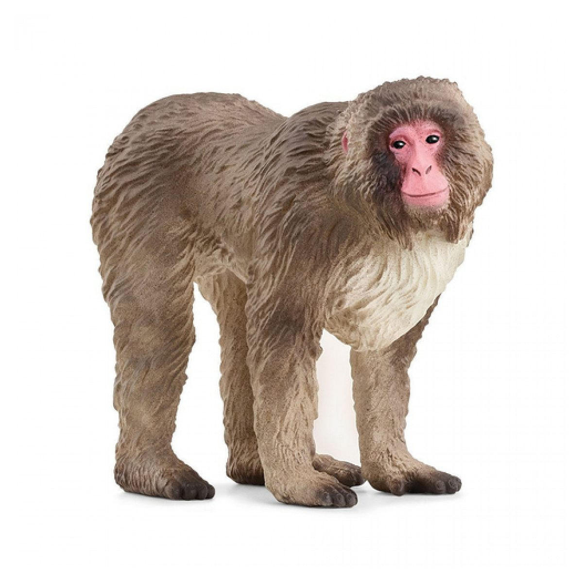 Schleich Spielfigur Braun 3x6x7 cm