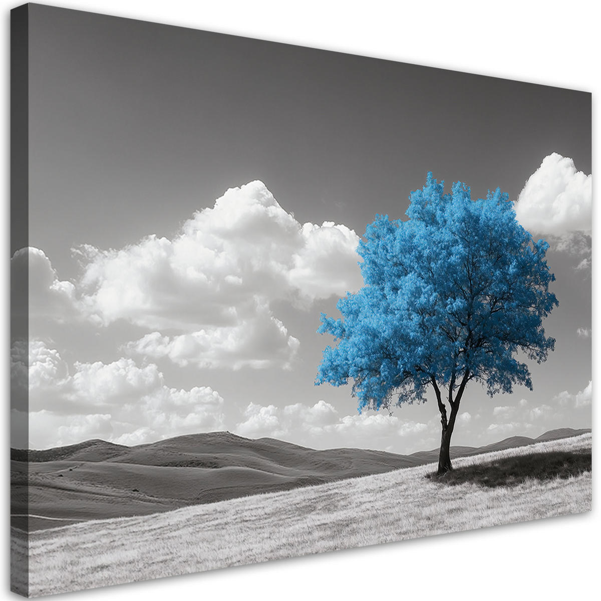 LEINWANDBILD Blaue Baum-Hochlandlandschaft - Blau, Textil (60/40cm) - Feeby