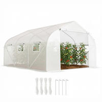TUNNELGEWÄCHSHAUS DE-05834 mit 6 aufrollbaren Fenstern 350/300/200 cm Weiß - Weiß, Kunststoff/Metall (300/200/350cm) - ComfortXL