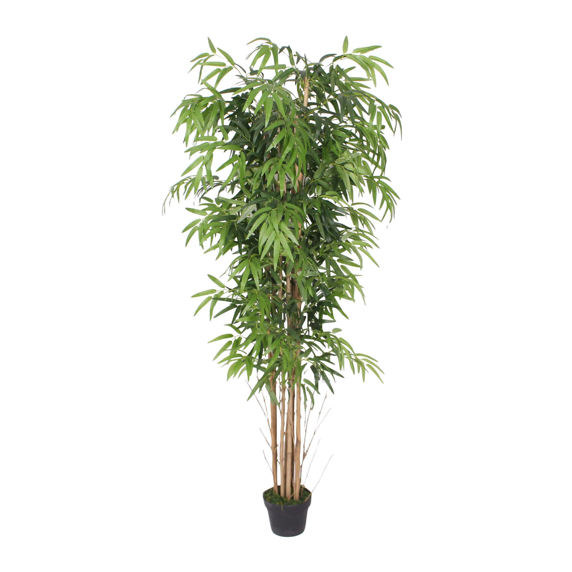 KUNSTPFLANZE Bambus 180 cm - Grün, Kunststoff (180cm)