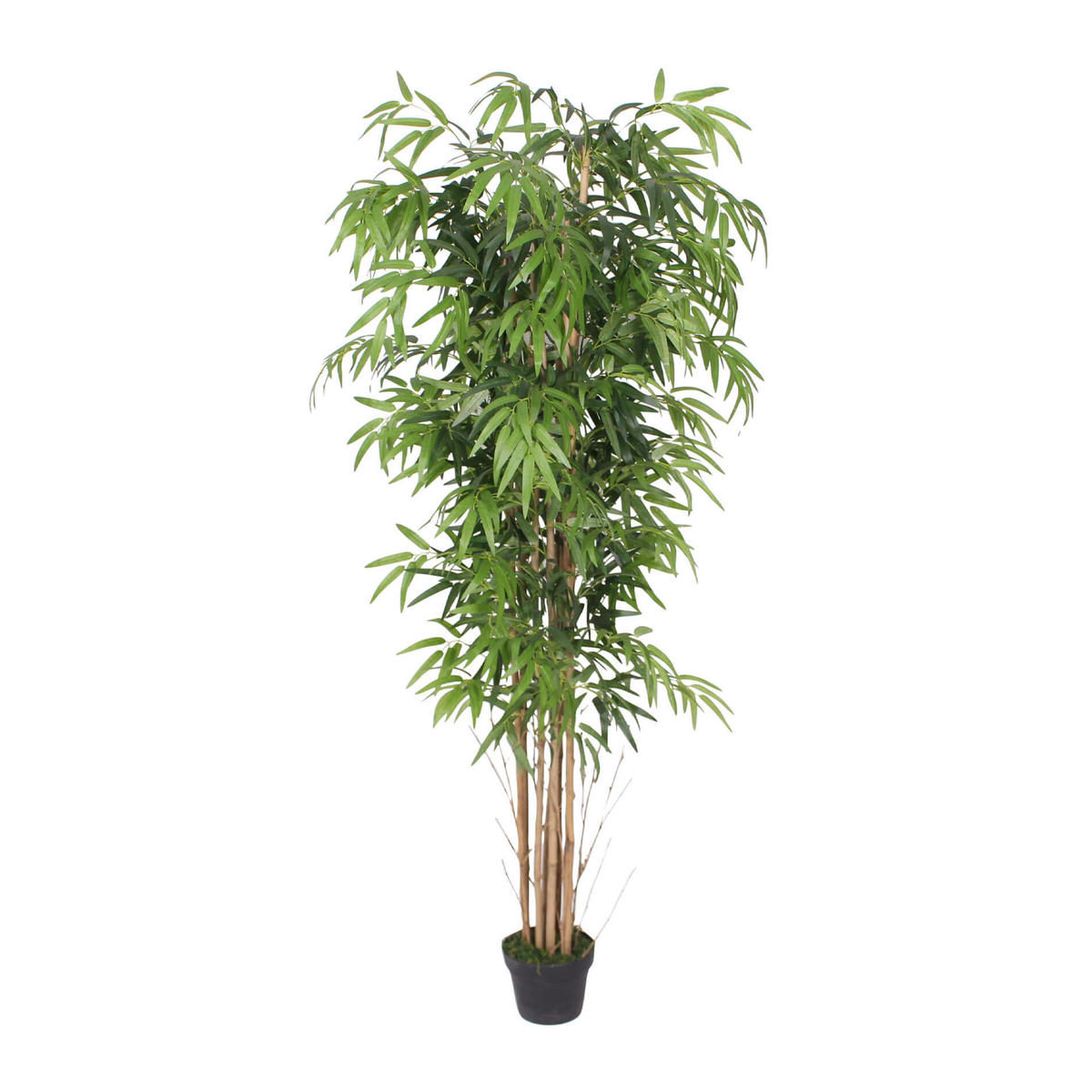 KUNSTPFLANZE Bambus 180 cm - Grün, Kunststoff (180cm)