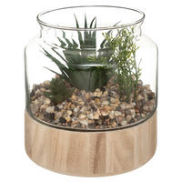 KUNSTPFLANZE H 15,8/15,8/17,5 cm - Multicolor, Glas (17.5cm) - Atmosphera Createur d´interieur