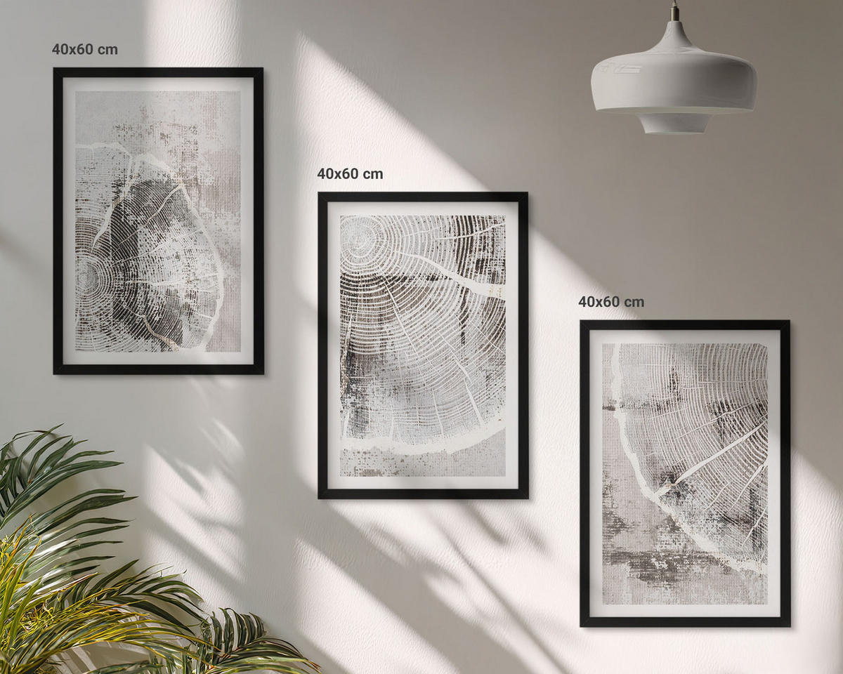 BILDER SET 3er Set - 40x60 cm Schwarzer Rahmen - Graue Holzmaserungsmuster - Schwarz, Kunststoff (40/60cm) - TULUP