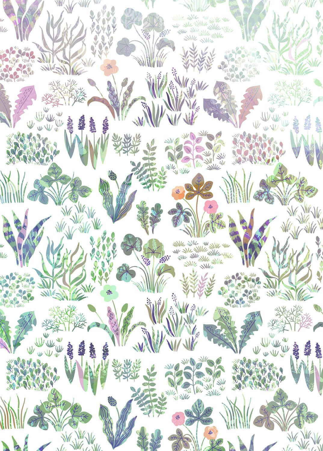 FOTOTAPETE Wildblumen 200 x 280 cm - Grün, Papier (200/280cm) - Sanders & Sanders