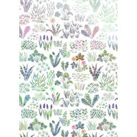 FOTOTAPETE Wildblumen 200 x 280 cm - Grün, Papier (200/280cm) - Sanders & Sanders