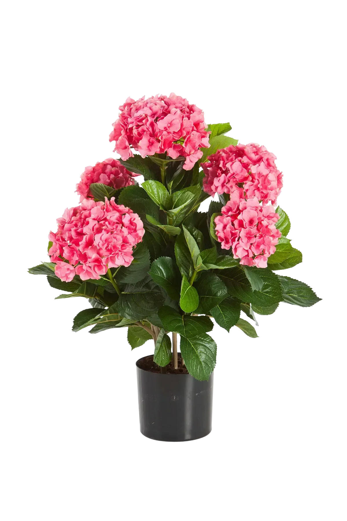 HORTENSIEN Künstliche Hortensie - Nils 53 cm - Pink, Kunststoff (53cm) - aplanta