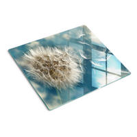 GLASPLATTE 60x52 cm Löwenzahn - Weiß, Glas (60/0.4/52cm) - TULUP