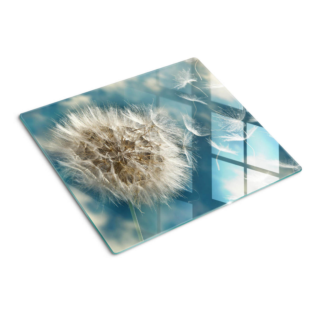 GLASPLATTE 60x52 cm Löwenzahn - Weiß, Glas (60/0.4/52cm) - TULUP