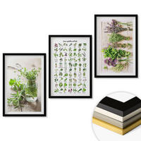 WANDBILDER 3er-Set - 40x60 cm Schwarzer Rahmen - Getrocknete Kräuter für die Küche - Schwarz, Kunststoff (40/60cm) - ArtPrintCave