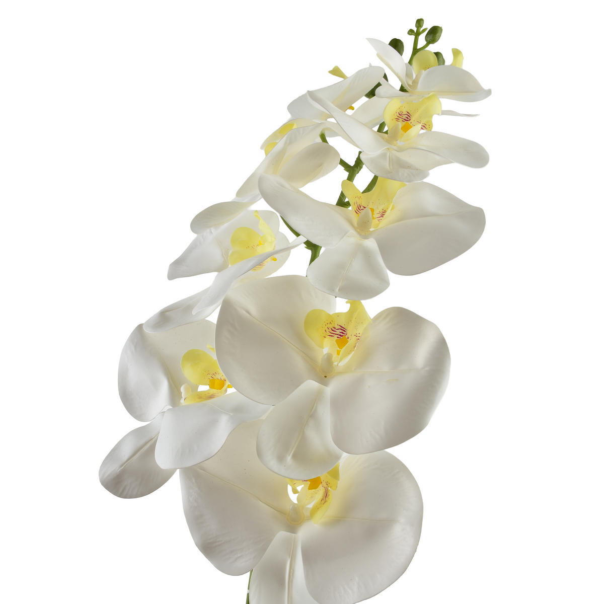 UMĚLÁ ORCHIDEJOVÁ VĚTVIČKA, bílá - bílá, plast (90cm) - Mondex
