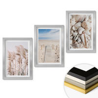 WANDBILDER 3er Set - 20x30 cm Silberner Rahmen - Strandmuscheln Seegras - Silberfarben, Kunststoff (20/30cm) - ArtPrintCave