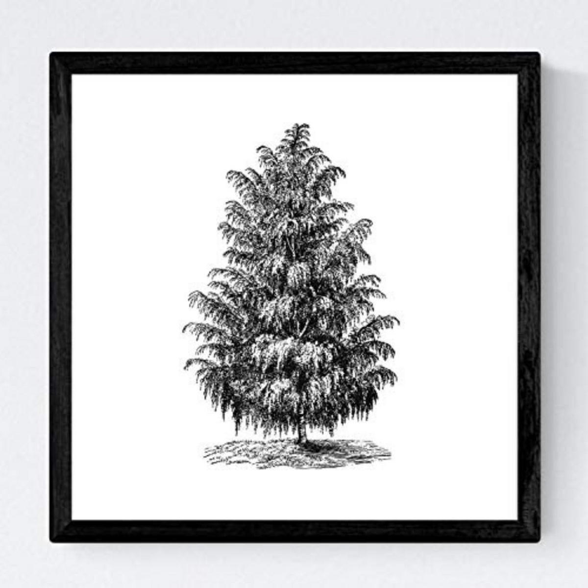 POSTER Set mit 4 Blättern der Hohe Bäume in weiß 30x30 cm Rahmenlos - Klar, Papier (30/3cm) - Nacnic