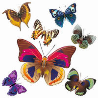 WANDTATTOO Schmetterlinge 30 x 30 cm - Multicolor, Papier (30/30/30cm) - Sanders & Sanders