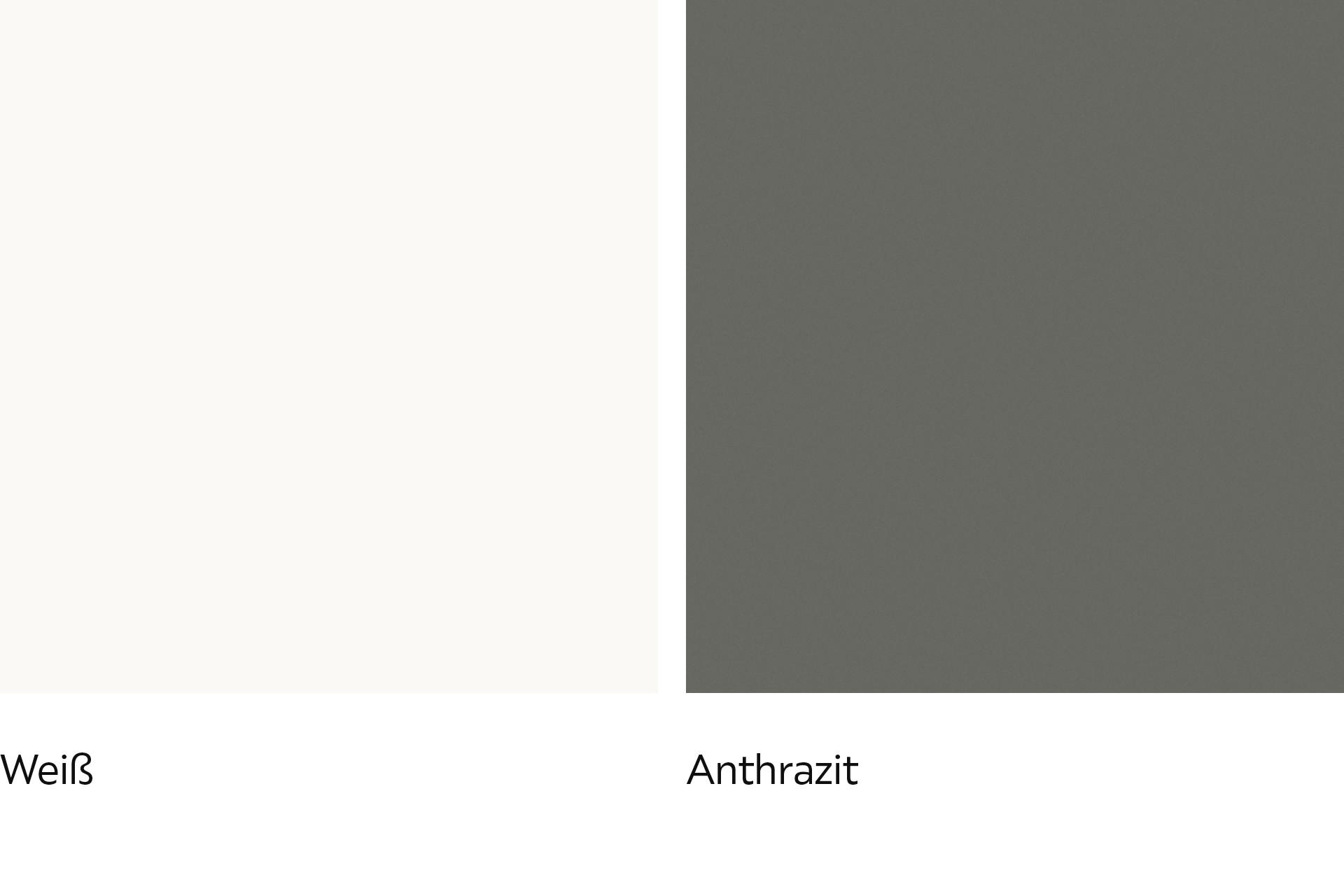 Korpus Magnolie und Anthrazit