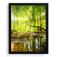 GERAHMTES BILD Wald - Landschaft - Wasser - Bäume - Sonne - Grün - Natur 30x40 cm - Grün, Papier (30/40cm) - MuchoWow