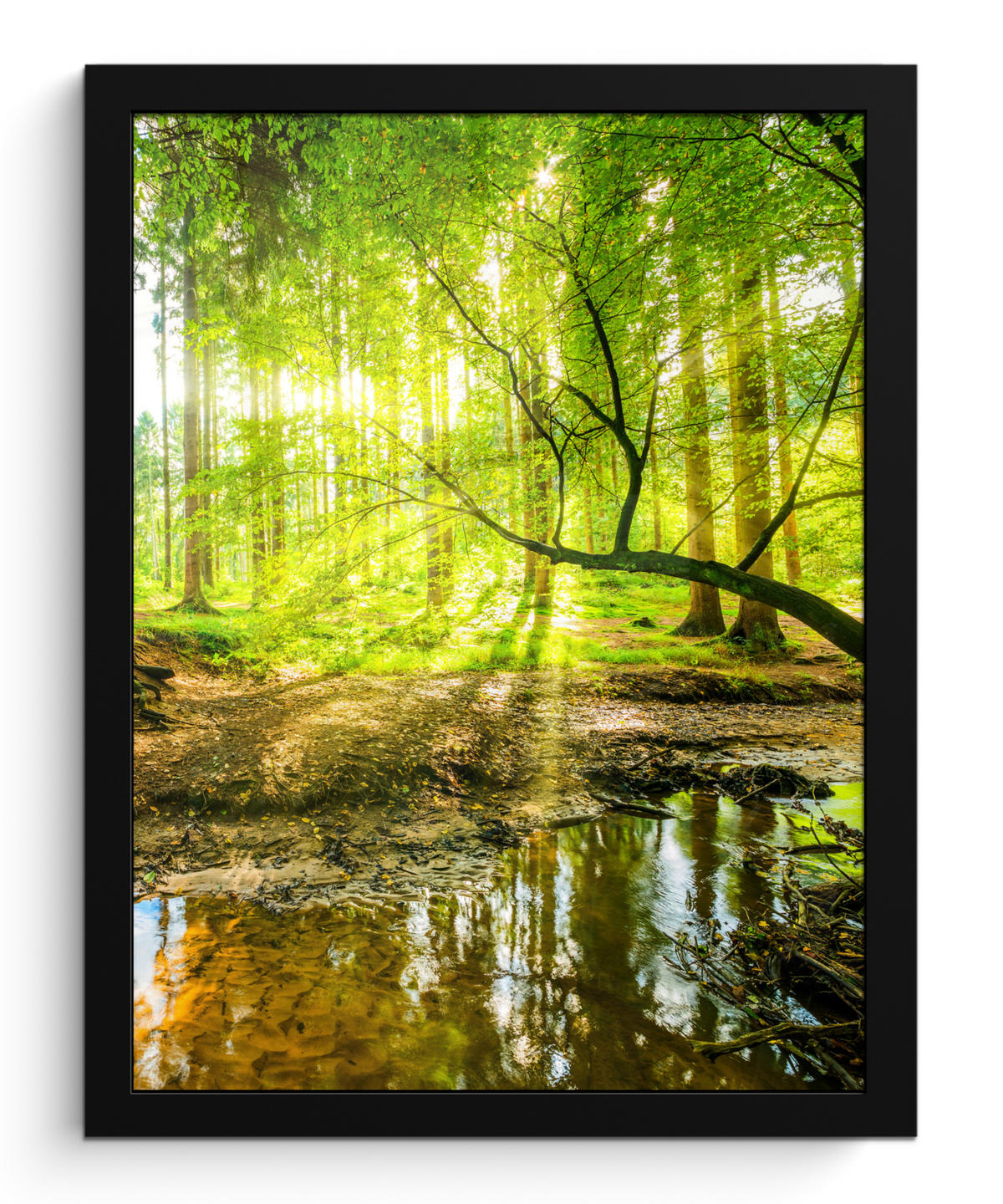 GERAHMTES BILD Wald - Landschaft - Wasser - Bäume - Sonne - Grün - Natur 30x40 cm - Grün, Papier (30/40cm) - MuchoWow