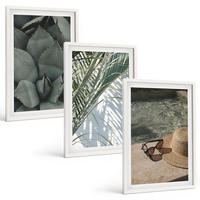 BILDER SET 3er Set - 40x60 cm Weißer Rahmen - Tropische Pflanzen für den Urlaub - Weiß, Kunststoff (40/60cm) - TULUP