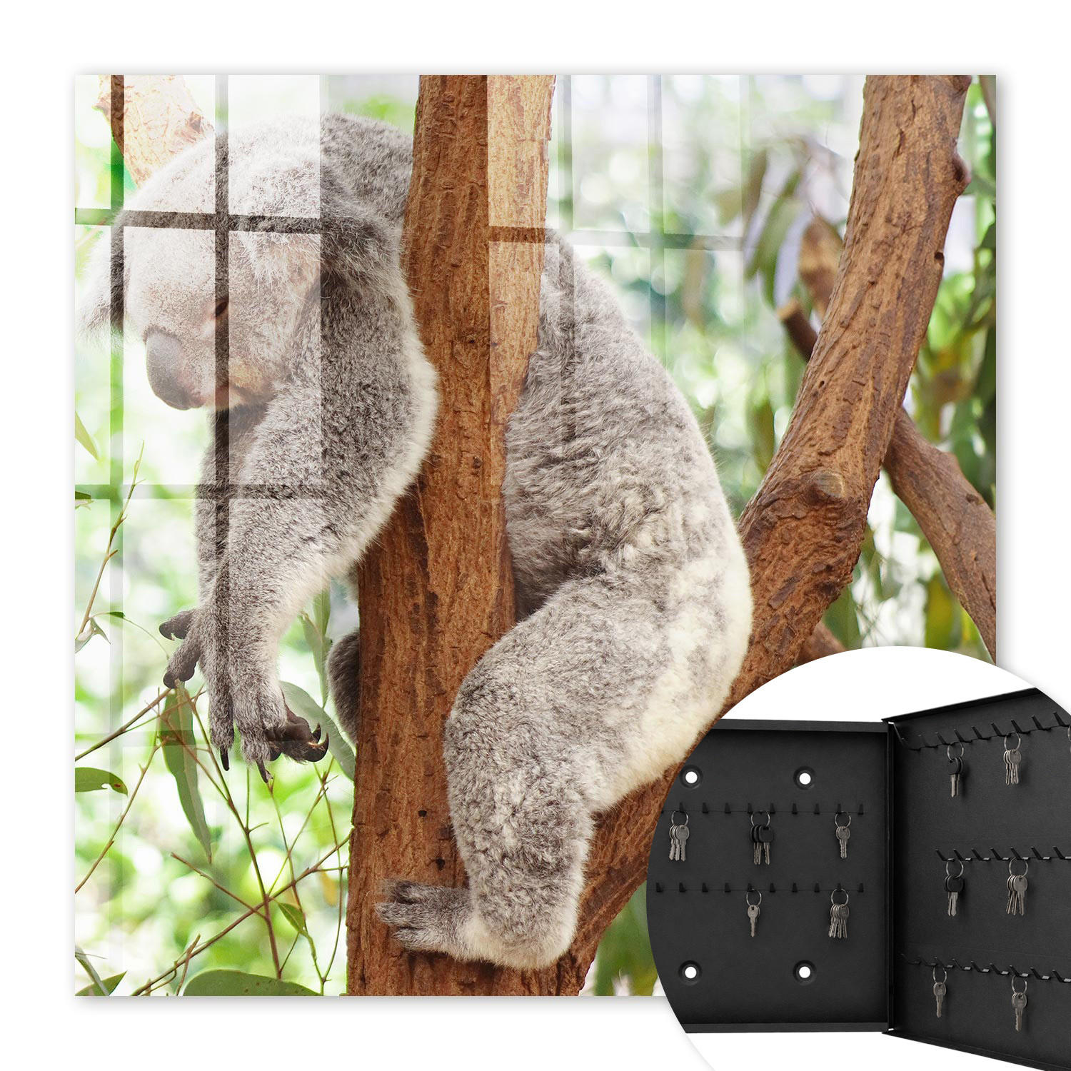 SCHLÜSSELBOX Schwarz 30x30 cm- Türöffnung nach rechts - Koala-Entspannung - Grau, Metall (30/30/5cm) - TULUP