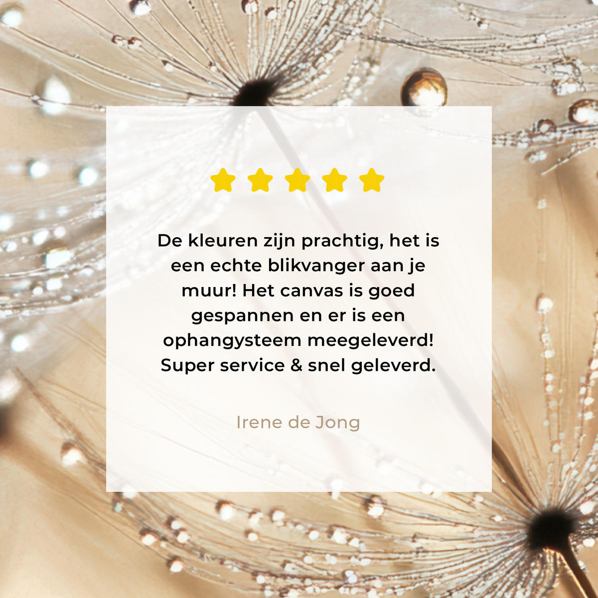 OBRAZ NA PLÁTNĚ Pampeliška - Abstraktní - Příroda - Béžová 40x30 cm - hnědá, textil (40/30cm) - MuchoWow