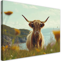 WANDBILD schottische kuh auf der wiese - Grün, Textil (60/40cm) - Feeby