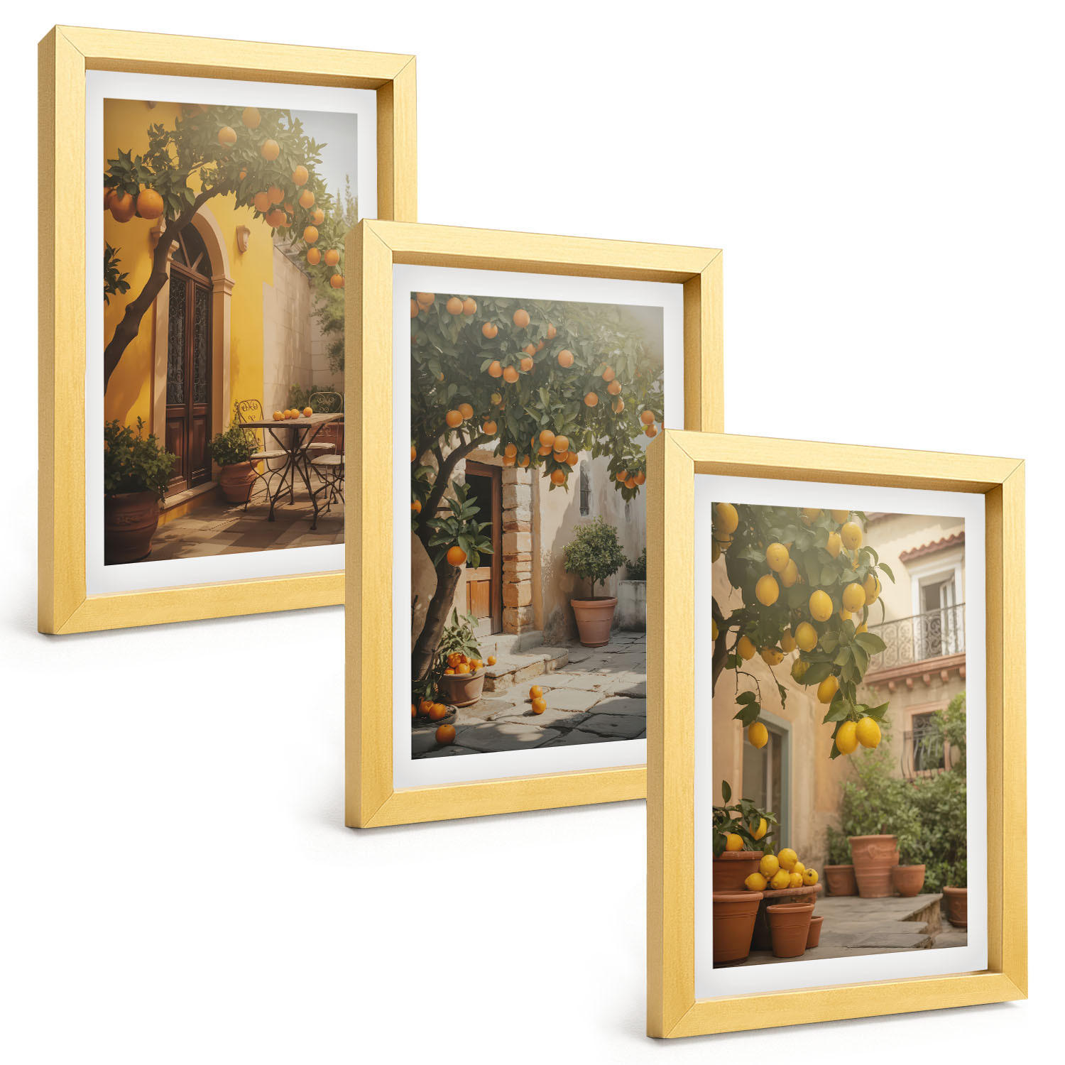 BILDER SET 3er Set - 20x30 cm Goldrahmen - Zitrustöpfe für sonnige Terrassen - Goldfarben, Kunststoff (20/30cm) - TULUP
