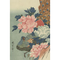 FOTOTAPETE Pfau und Pfingstrosen 200 x 300 cm - Pink, Papier (200/300cm) - Origin Wallcoverings