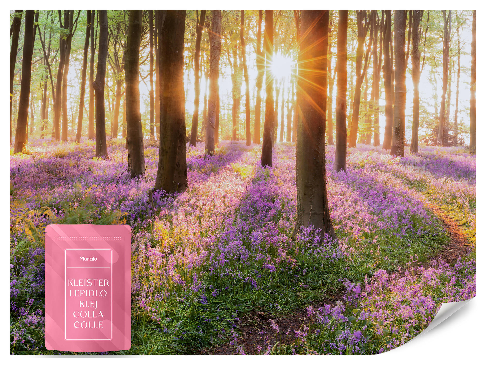 FOTOTAPETA Les Kvety Východ Slnka Krajina 3D 250 x 175 cm - oranžová/hnedá, papier (250/175cm) - Muralo