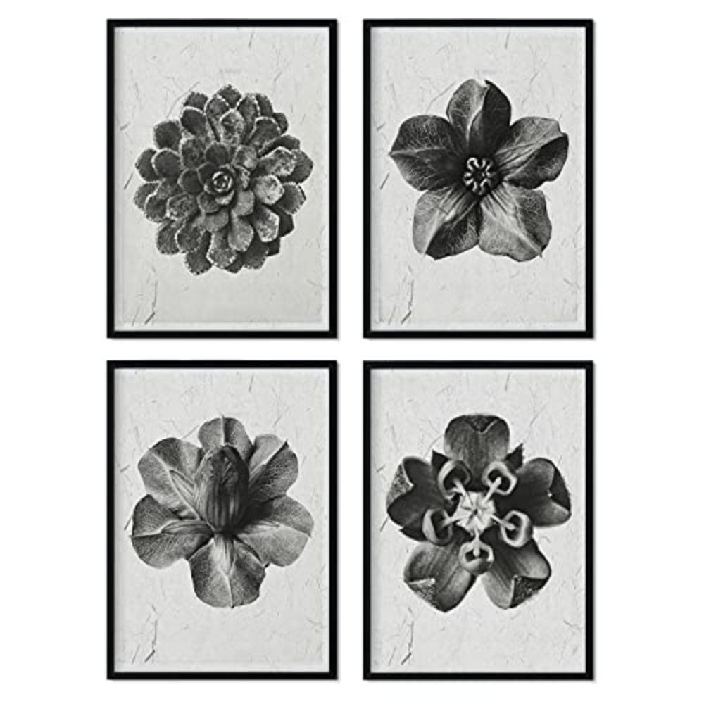 POSTER Set mit 4 von Blumenblättern Blumen und Pflanzen in Grausteinen A3 Rahmenlos - Klar, Papier (29.7/3cm) - Nacnic